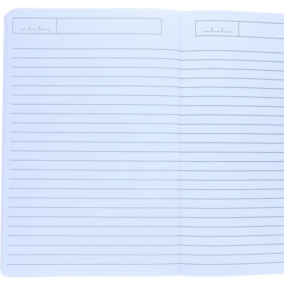 grand_cahier_dinosaures___1.webp Grand Cahier Dinosaures - Mercredi