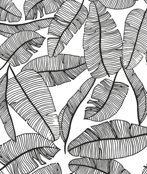 Papier Peint Feuilles Tropicales - Lilipinso