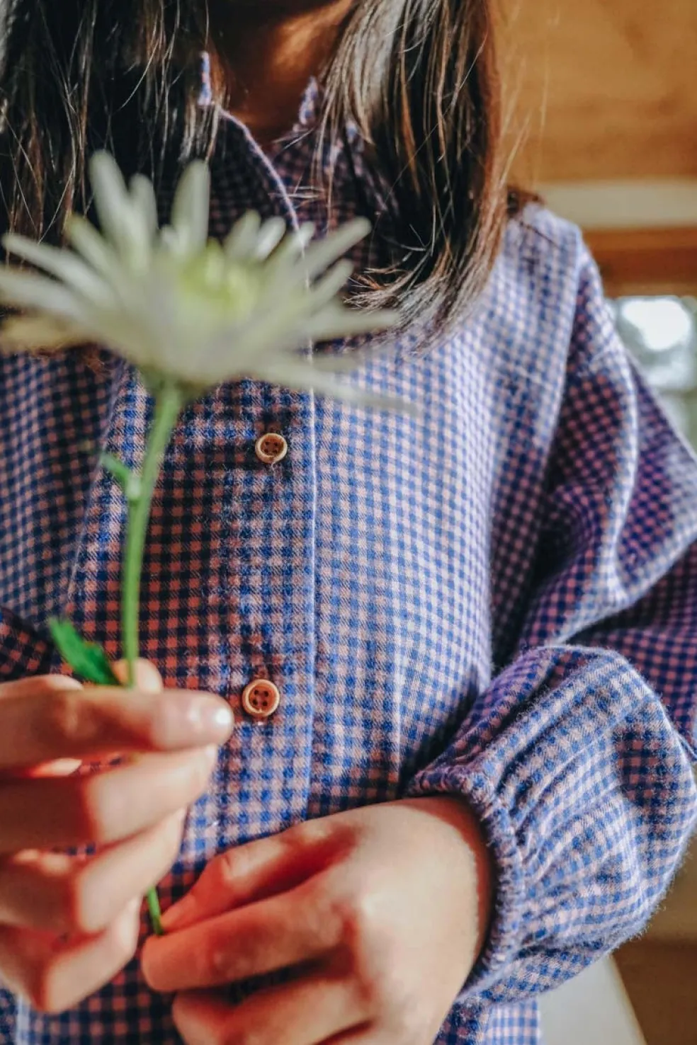 robe_anna_mini_vichy_bleu_1.webp Robe Anna Mini Vichy Bleu - Marlot Paris