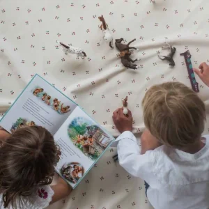 Sac Tapis Jeux Cherry Cherry - Play and Go